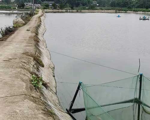 重慶市三湖水産養殖專業合作社